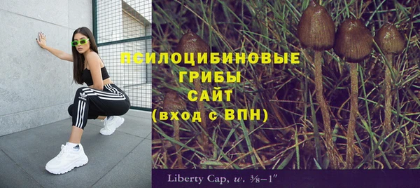 ПСИЛОЦИБИНОВЫЕ ГРИБЫ Алзамай