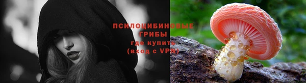 прущие грибы Алексин