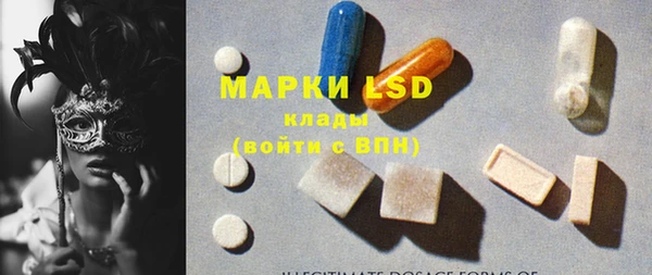 ПСИЛОЦИБИНОВЫЕ ГРИБЫ Алзамай
