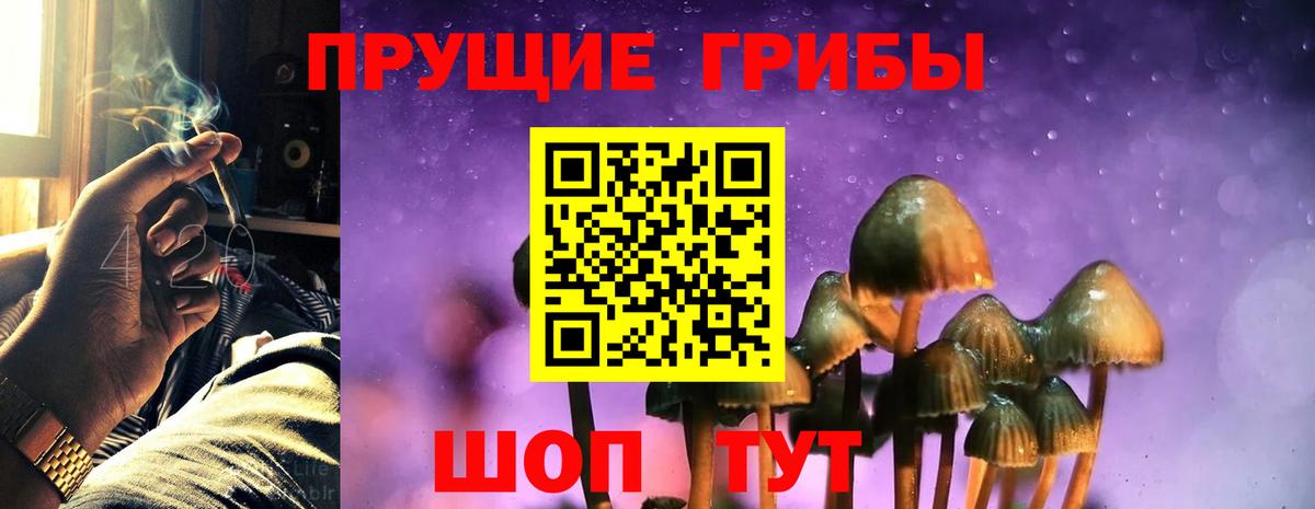 Галлюциногенные грибы MAGIC MUSHROOMS Амурск