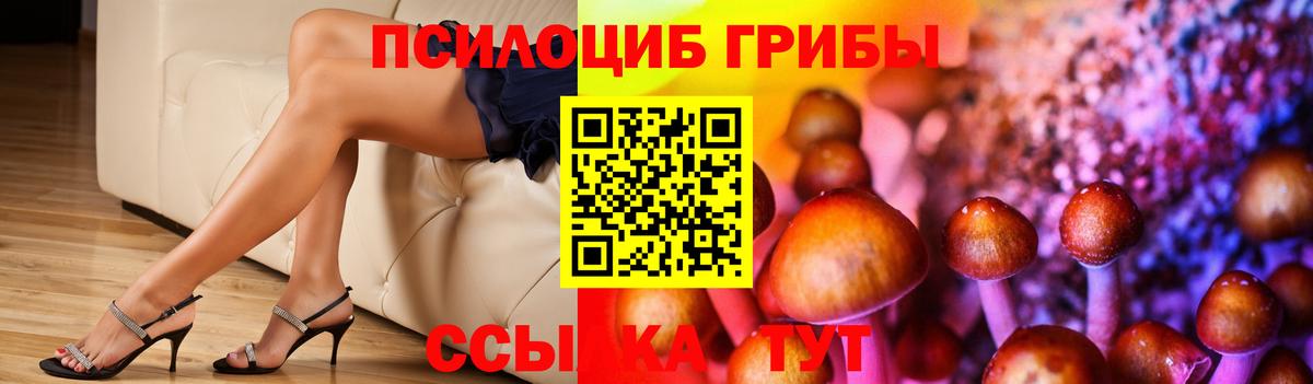 Амурск  Псилоцибиновые грибы Psilocybe  Вход с VPN  Галлюциногенные грибы Psilocybe 